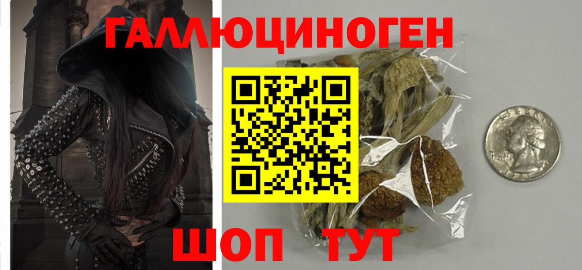 Псилоцибиновые грибы Cubensis Горно-Алтайск